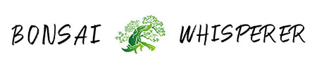 bonsai whisperer logo